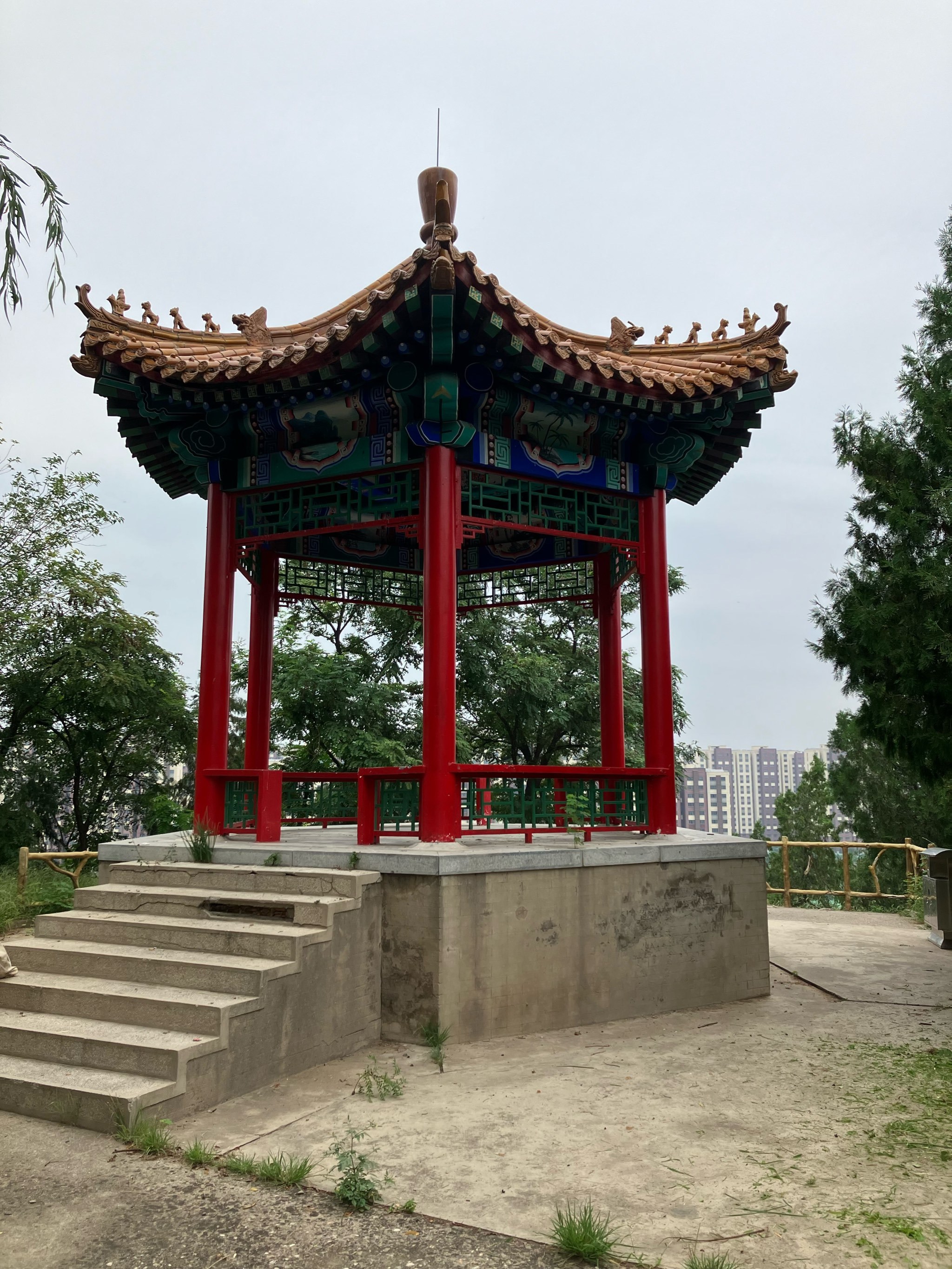 🌲🌳🌿幽静美丽的绿色森林