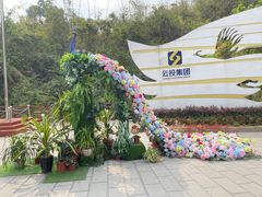 -西双版纳原始森林公园