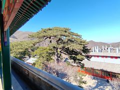 -妙峰山风景名胜区