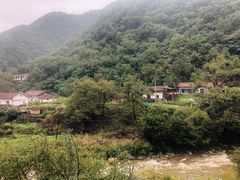 -牛背梁国家森林公园