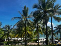 -日落吧·海景咖啡厅·餐酒吧·鸡尾酒·下午茶·乐队表演·浪漫夕阳·三亚文华东方酒店