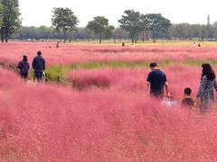 -汉长安城未央宫国家考古遗址公园