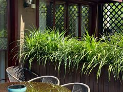 -海鲜e族(马王堆店)