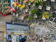 -紫荆广场·花漫里