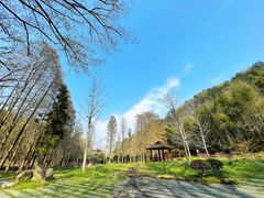 -素山寺森林公园