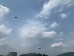 -光明小镇欢乐田园