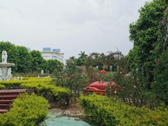 -百万葵园