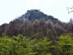 -青城山