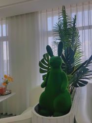 -白月光皮肤管理·德国LDM