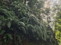 -白云山风景名胜区
