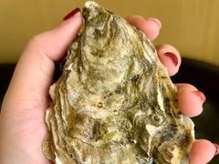 -斯普汇生蚝牛排馆(中骏世界城店)