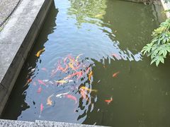 -陈武帝故宫