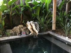 -和顺柏联温泉
