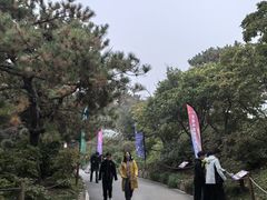 -国家植物园南园