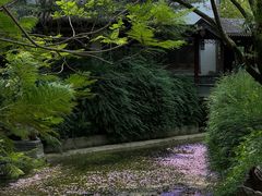 -龙潭水乡