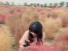 -映月湖中央公园