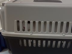 -中农国际动物医院24小时·猫科·骨科·急重症中心