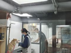 -帕帕拉兹宠物(亚洲旗舰店)