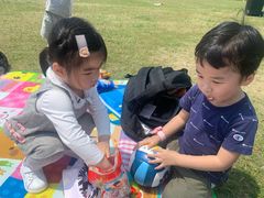 -春花秋色城市公园