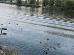 -野三坡清泉山风景区