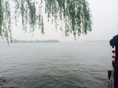 -西湖外事游船(花港观鱼码头)