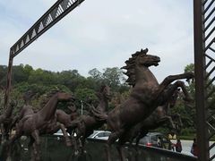 -台山颐和温泉城