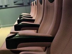 -成都百丽宫影城(LUXE太古里店)