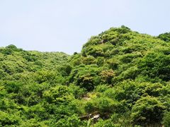 -抱龙峪