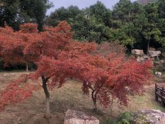 -虞山风景区