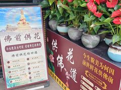 -峨眉山报国寺