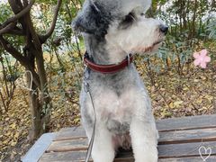 -佳雯宠物医院(金华南路分院)