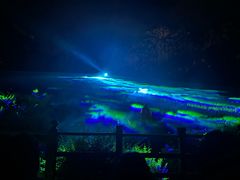 -禅宗少林·音乐大典