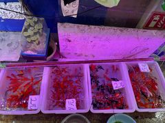 -双季花艺园艺市场(浦东店)