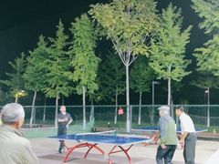 -东升文体公园