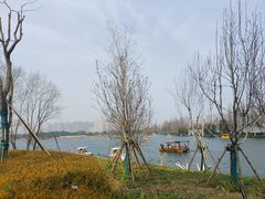 -洋湖国家湿地公园