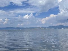 -洱海月湿地公园