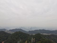 -大金鹰园