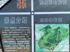 -白水寺森林公园