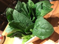 菠菜-额尔敦传统涮火锅·烧烤(鑫源山庄店)