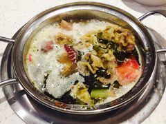 -龍歌自助小火锅(崂山丽达店)