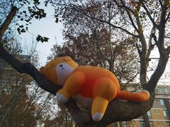 -西安电影制片厂