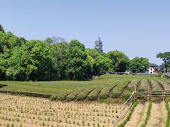 -布丁严选酒店(杭州武林西湖文化广场地铁站店)
