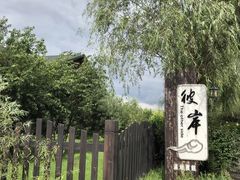 -呼兰河口湿地公园