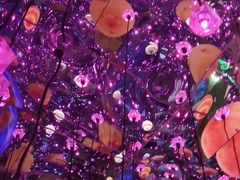 -苏州5D星空错觉艺术馆