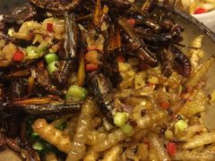 -慢丽江·云南野生菌土鸡锅(付家庄店)
