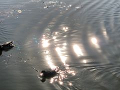 -国家植物园(地铁站)