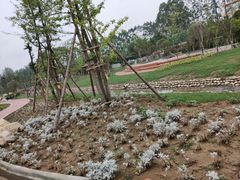 -白鹭湾湿地公园