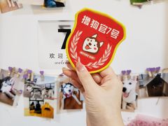 -Husky Go! 哈士奇体验馆·宠物咖啡厅狗咖