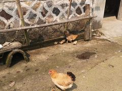 -遂昌金矿国家矿山公园