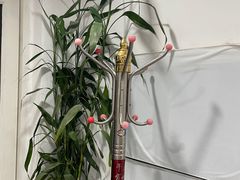 -刘大盲人推拿灸